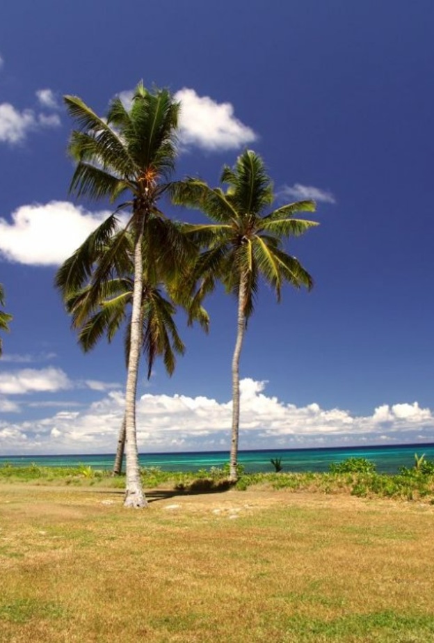  Alimatha Island جزيرة اليماثا المالديف