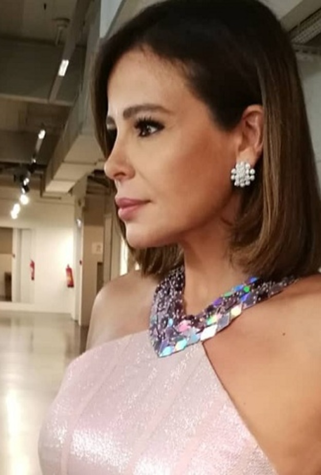 كارول سماحة في حفلها في باريس