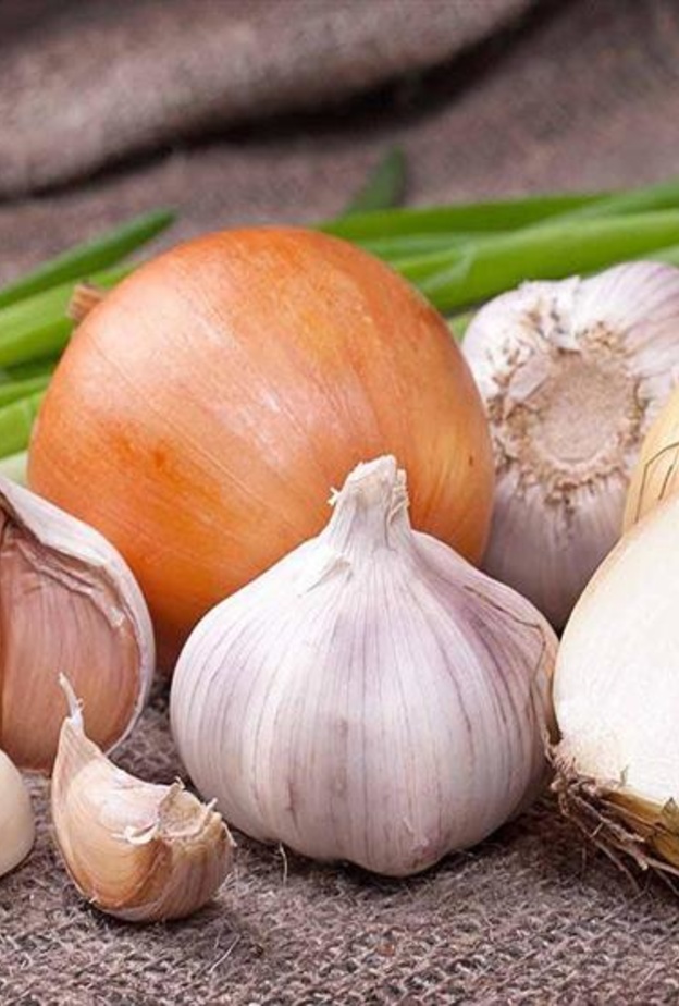 الثوم و البصل يساعدان على الوقاية من سرطان الثدي