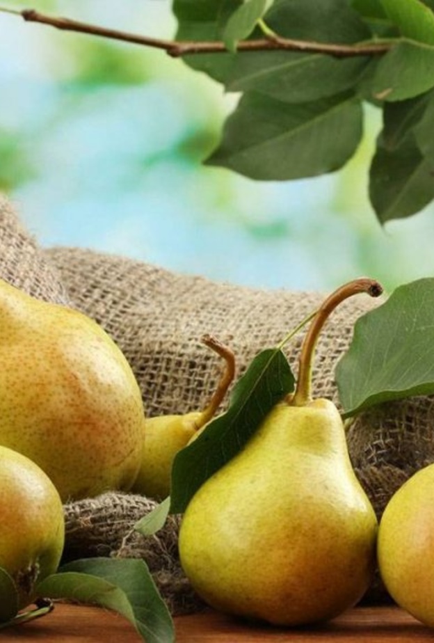  فوائد الكمثرى للتخسيس