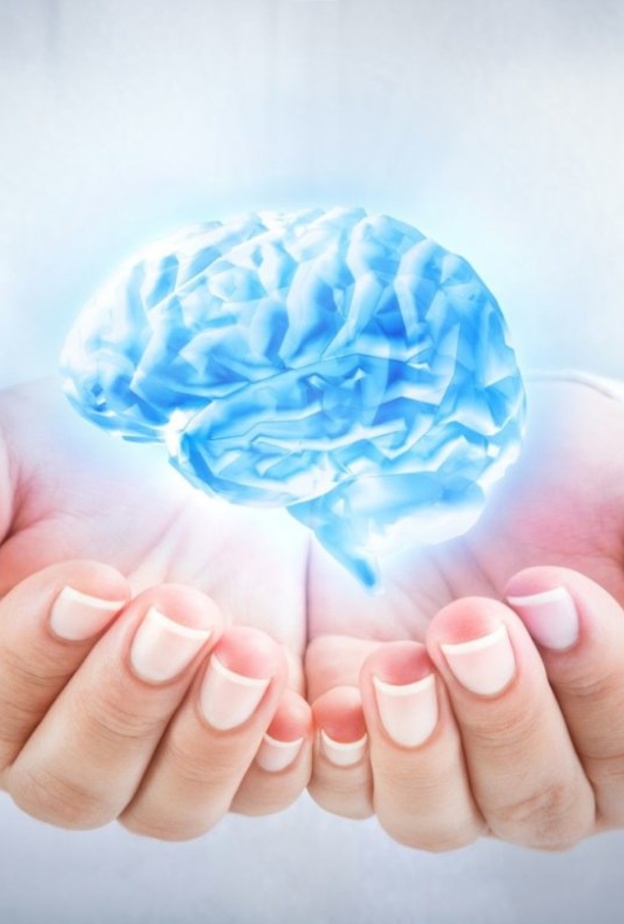 صحة الدماغ تعتمد على نوعيات الأطعمة المتناولة