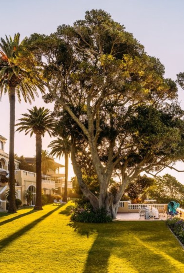 فندق  Cape Grace 