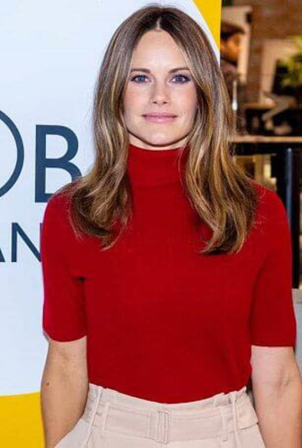 الأميرة صوفيا في اجتماع لسيدات الأعمال