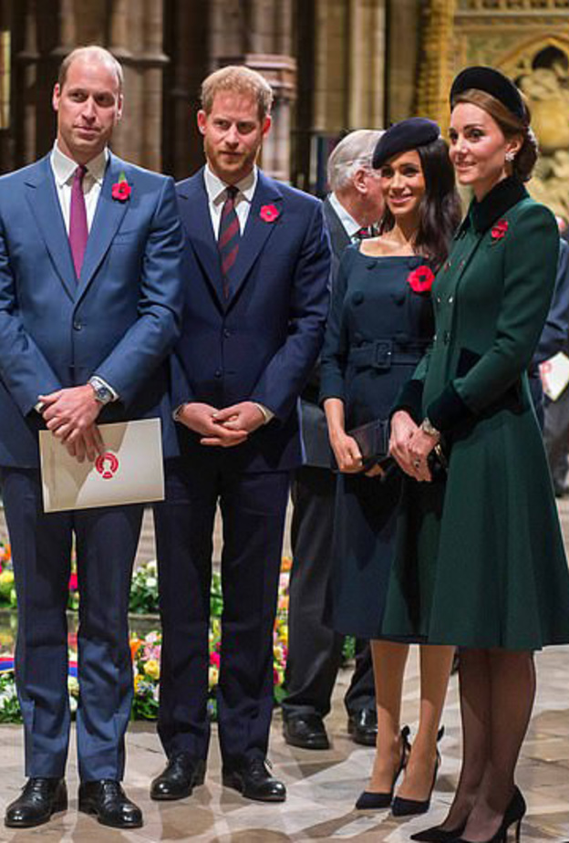 الزوجان ساسيكس وكمبريدج يعودون للعمل معا من جديد