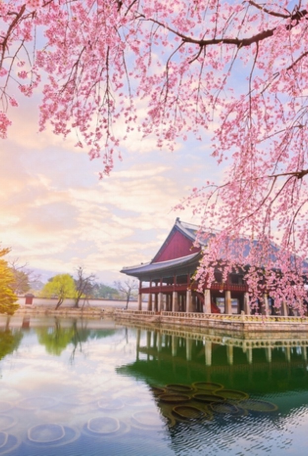 اجواء الربيع الخلابة