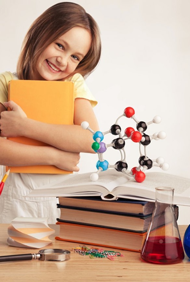 المرحلة التجريبية استدلال وحل المشكلات واستعياب المعناي والأهداف