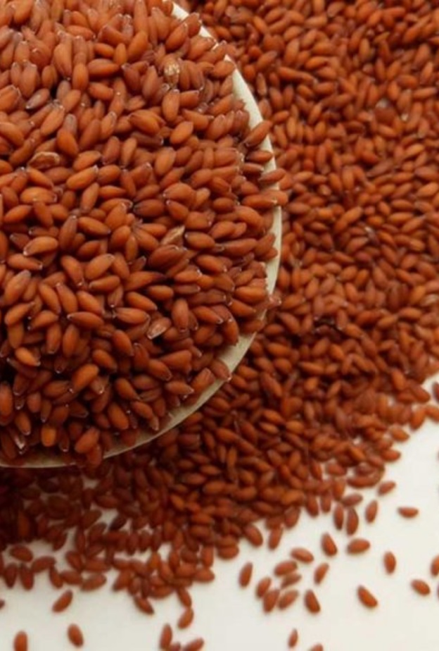 حب الرشاد يقي من ارتفاع ضغط الدم