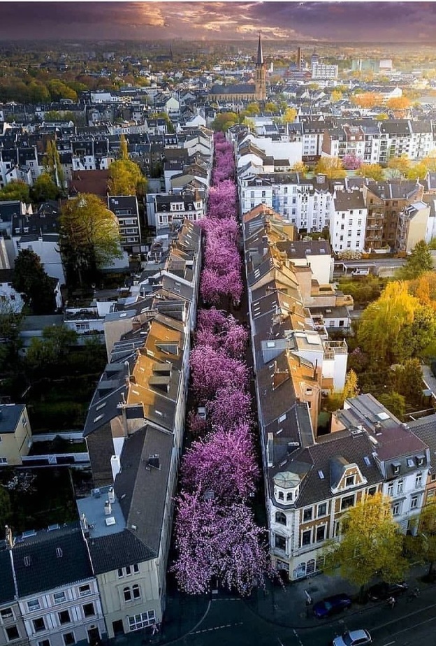 لونلي بلانت يختار دبي ضمن قائمته لأكثر 10 مدن حول العالم يجب زيارتها في 2020