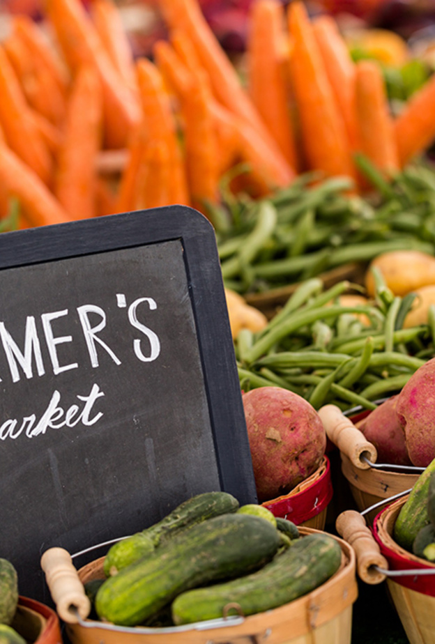 المدينة المستدامة في دبي تطلق النسخة الثانية من "أوريجين" سوق المنتجات الصديقة للبيئة