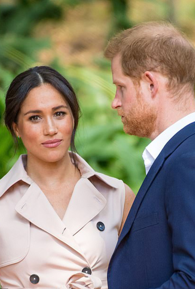 الأمير وليام قلق على الأمير هاري وزوجته ميغان ماركل