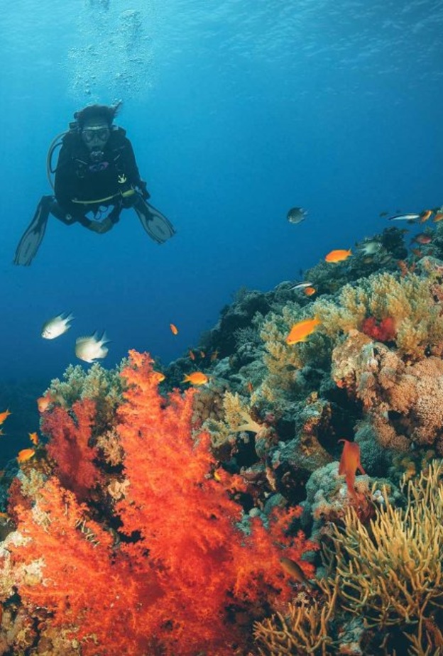 اجمل اماكن في السعودية لشهر العسل - جبل اللوز في تبوك