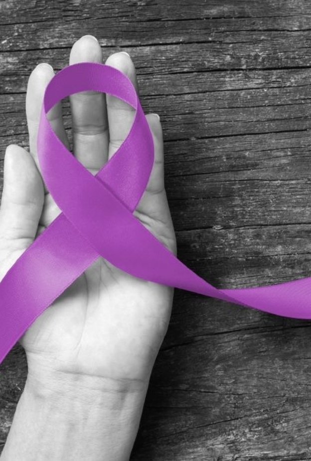 الأطعمة الغنية بالدهون تسبب مرض الزهايمر