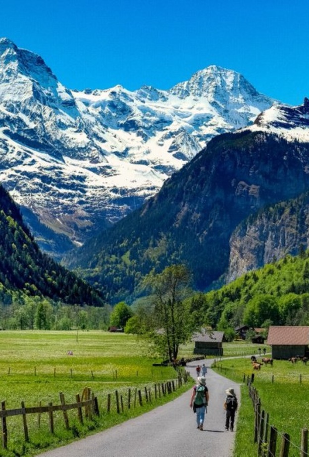 أجواء ساحرة في بروفنس فرنسا