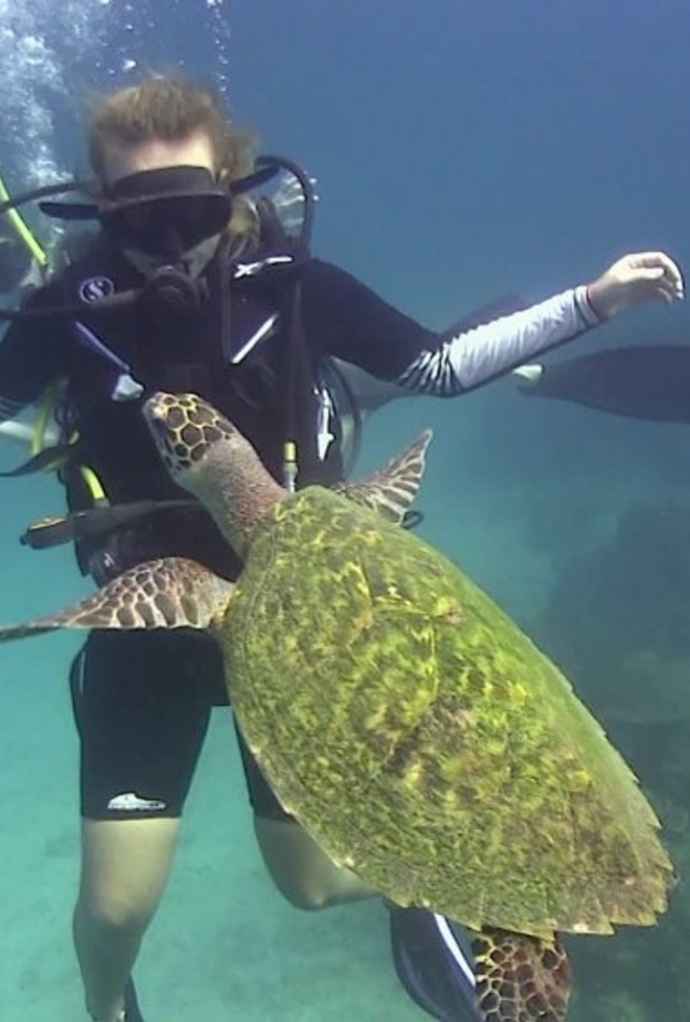 إذا أردت الاستمتاع بممارسة رياضة ركوب الأمواج وتجربة مجموعة متنوعة من الألعاب المائية بصحبة الأصدقاء خلال رحلتك السياحية في تايلاند