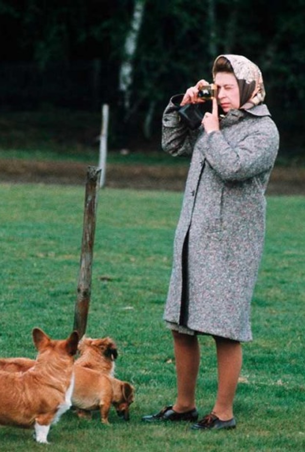 تعرف على ردة فعل الملكة بعد تعثر ضيف في أحد كلابها الأليفة