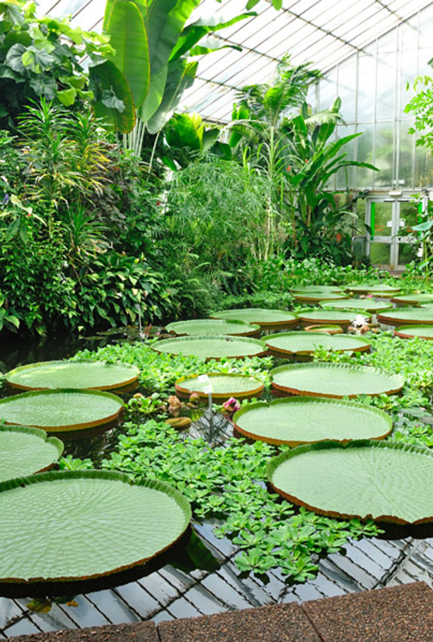 حدائق ساباتيني