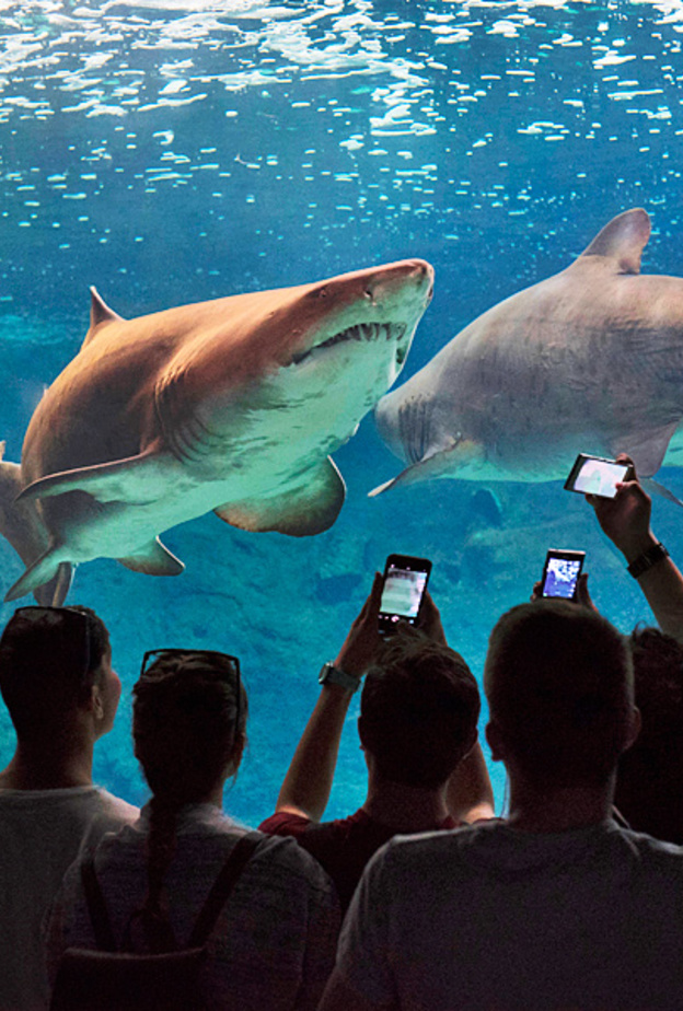 CretAquarium من أكبر أحواض الأسماك في أوروبا