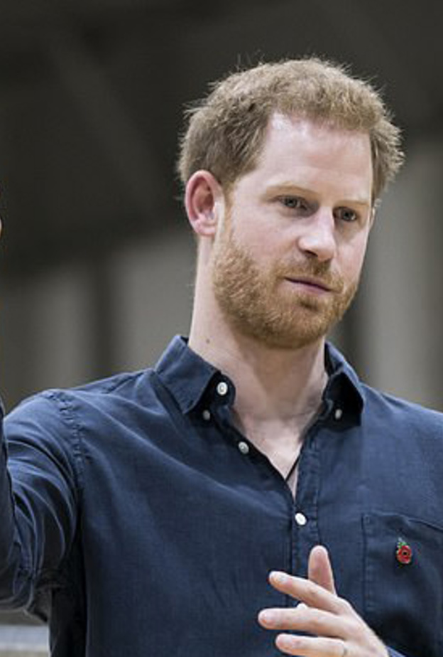 الأمير هاري سافر إلى اليابان لحضور نهائي بطولة العالم للركبي