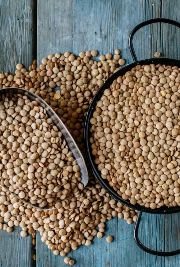 فوائد العدس لكمال الأجسام مهمة