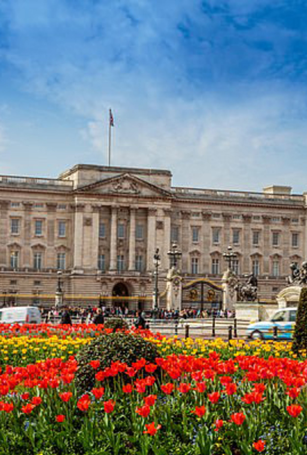 قصر باكنغهام تسكنه الفئران