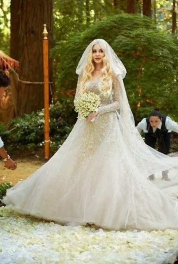 الأميرة ستيفاني بفستان من ايلي صعب