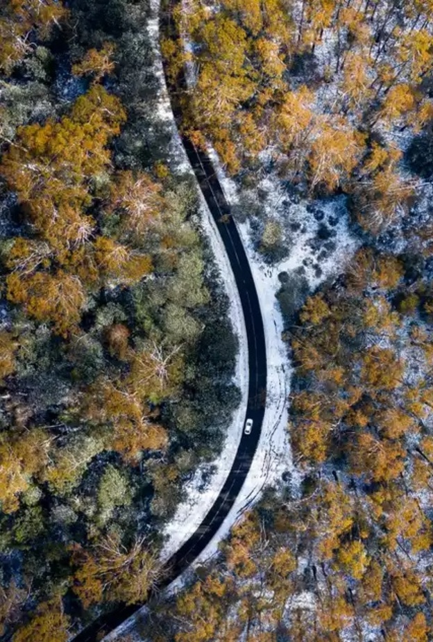  الذهاب في رحلة برية في الثلج تجربة رائعة