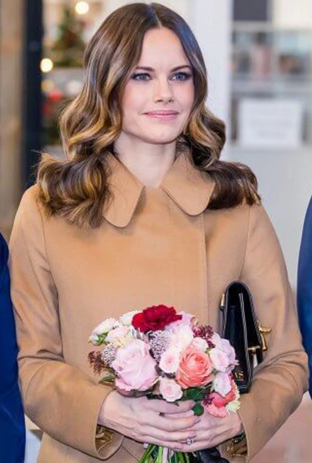 الأميرة صوفيا تفتتح مدرسة جديدة في مقاطعة Alvdalen