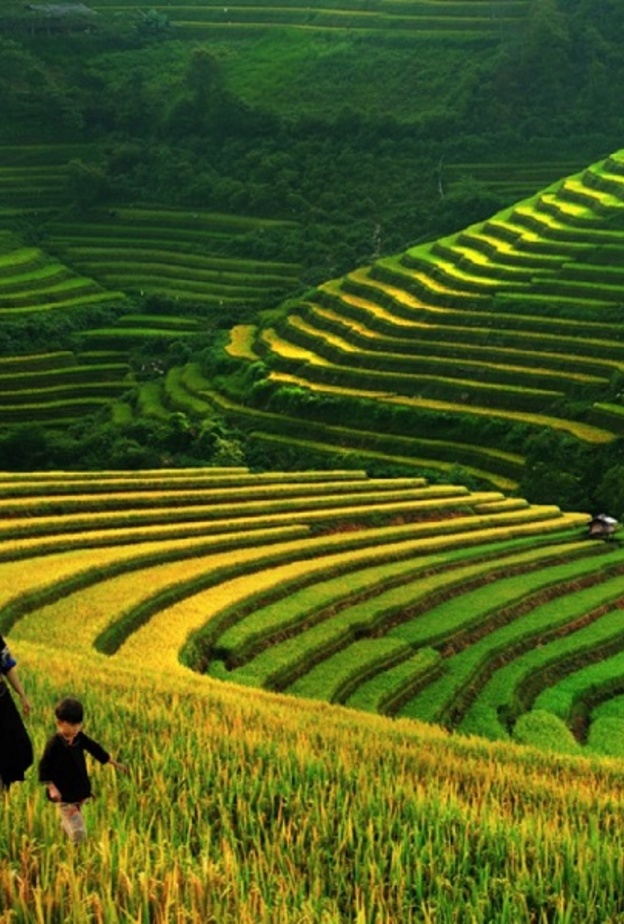 من وادي مونغ هوا