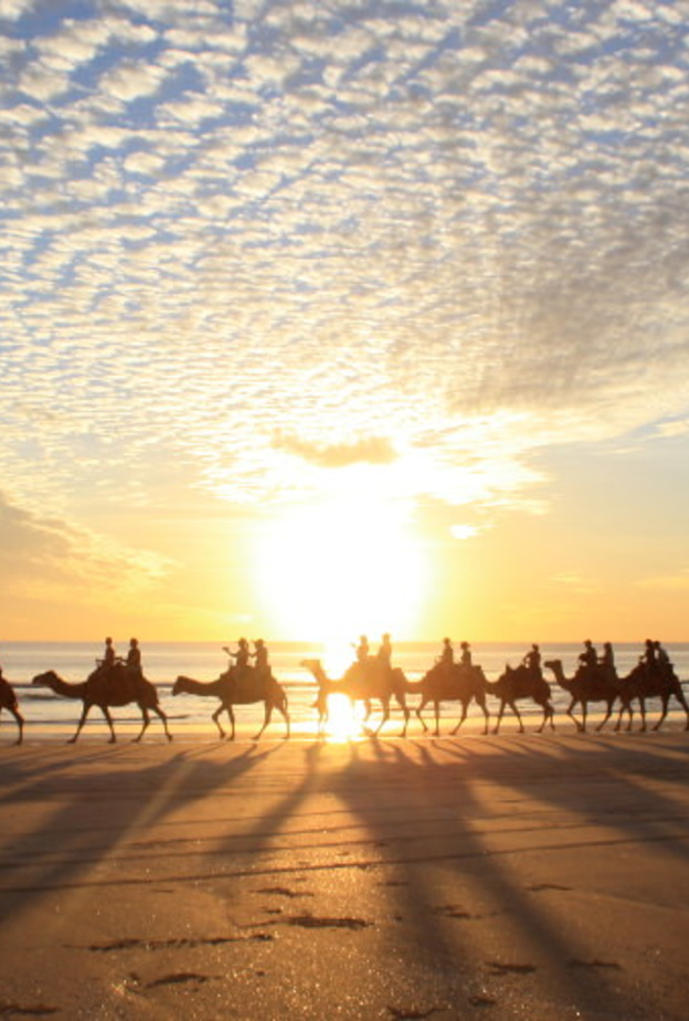 رحلة في شاطئ Whitehaven