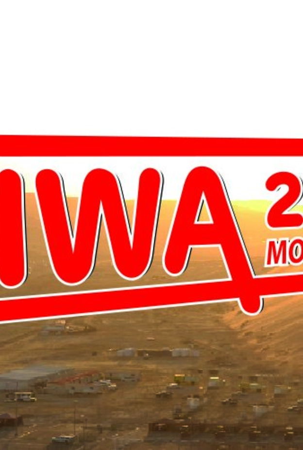  مهرجان ليوا الدولي 2020 