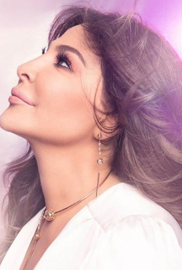 اليسا وعام حافل بالاحداث