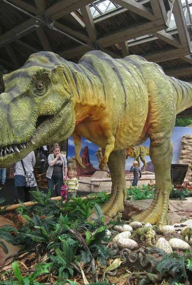 إركب القارب في بحيرة Stora Delsjön