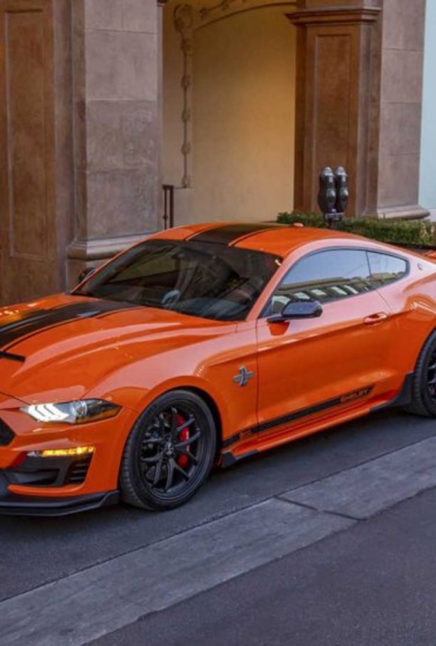 تأتي المقصورة ضمن خيارين من الفرش الأسود، بين المطعم باللون الأخضر، أو البرتقالي