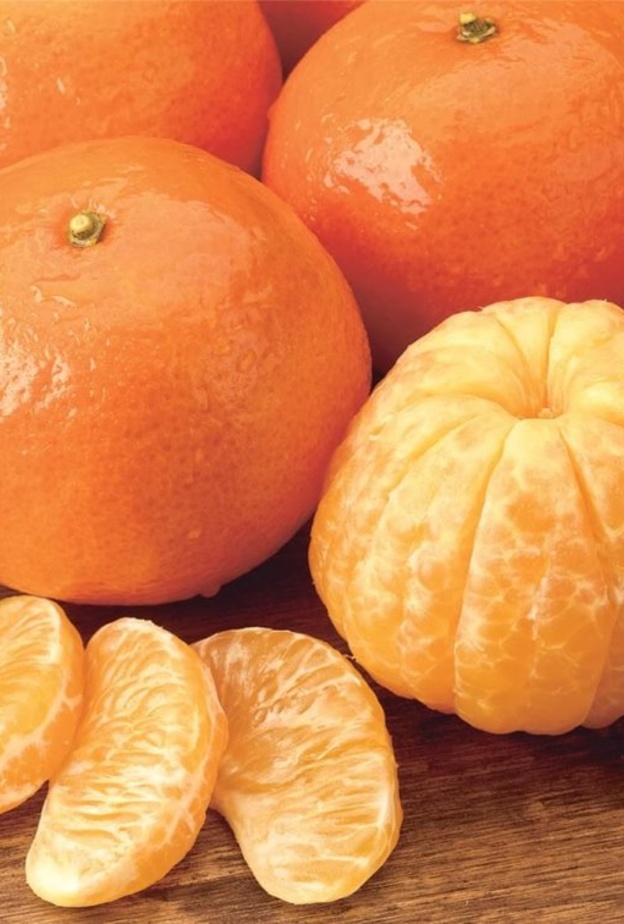 اليوسفي يعزز مناعة الجسم