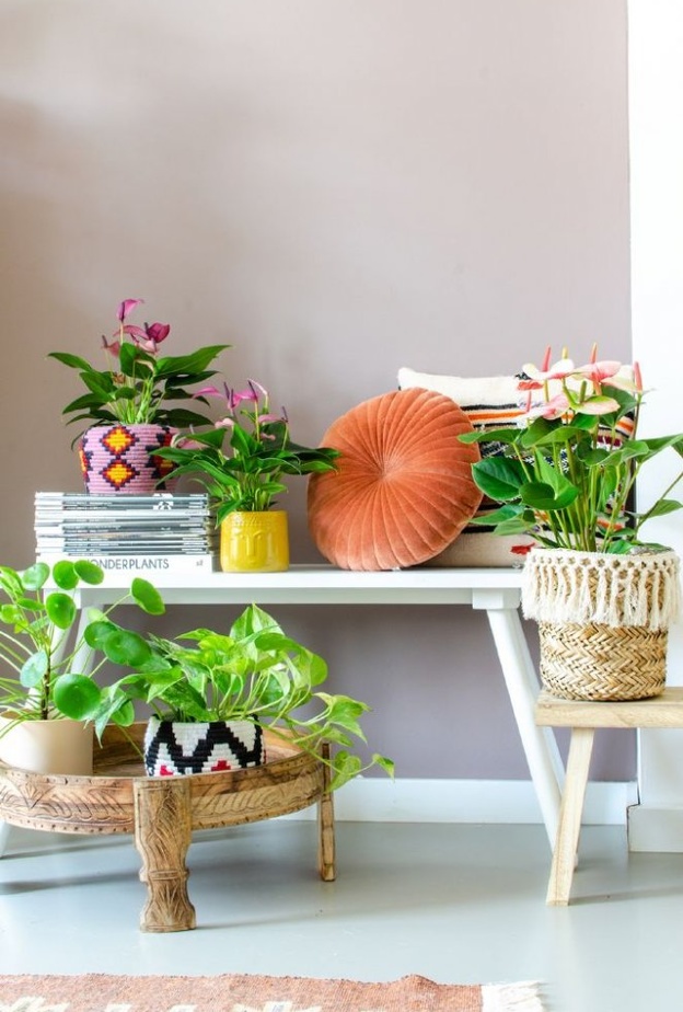 ديكور عصري لزوايا المنزل يتميز بأحواض النباتات