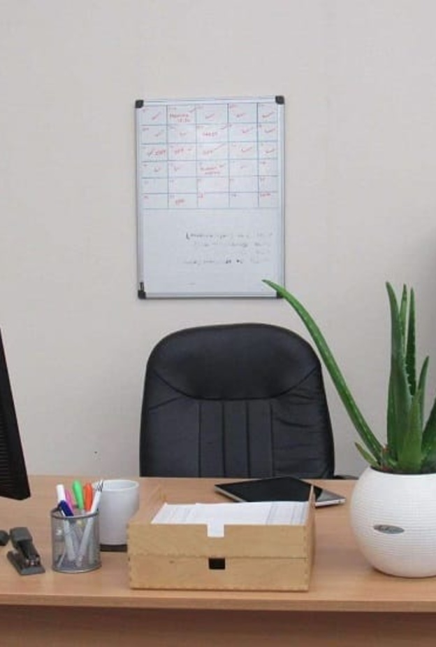  نبات الصبار يحسن العمل ويعزز العمل بهدوء