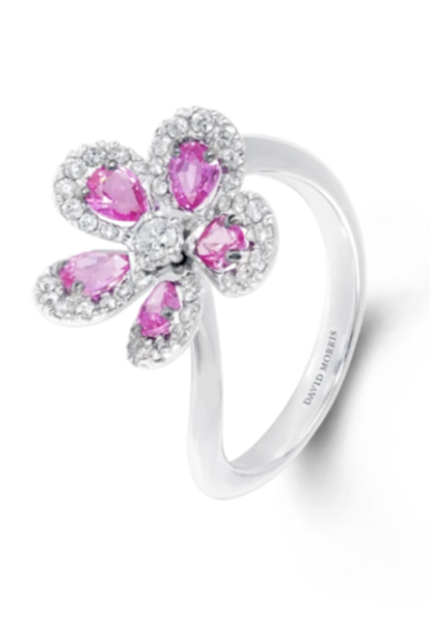 مجوهرات راقية