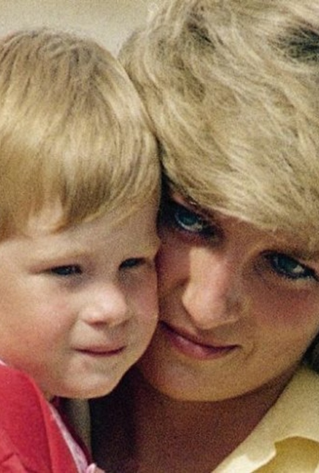 الأميران وليام وهاري كانا بجوار الأميرة ديانا أثناء الحوار