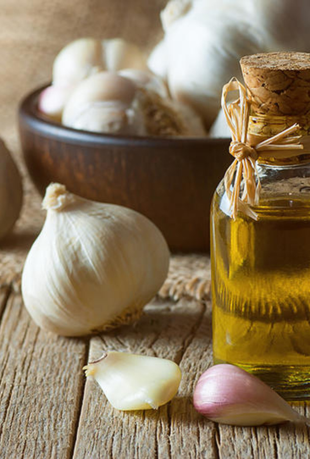  الثوم وزيت الزيتون من أهم المضادات الحيوية