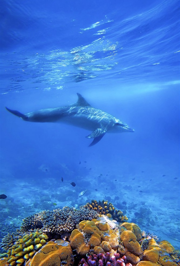 أفضل الجزر التي يمكنكم زيارتها في يناير 2020