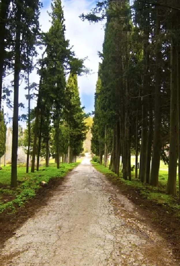 إستمتع بالمشي الجبلي في جبل بارنيثا