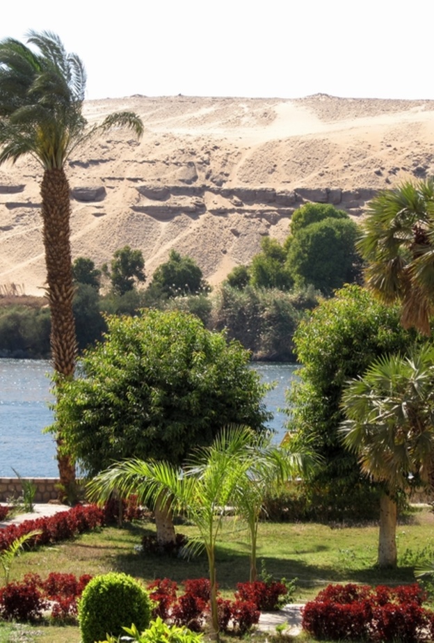 جزيرة النباتات