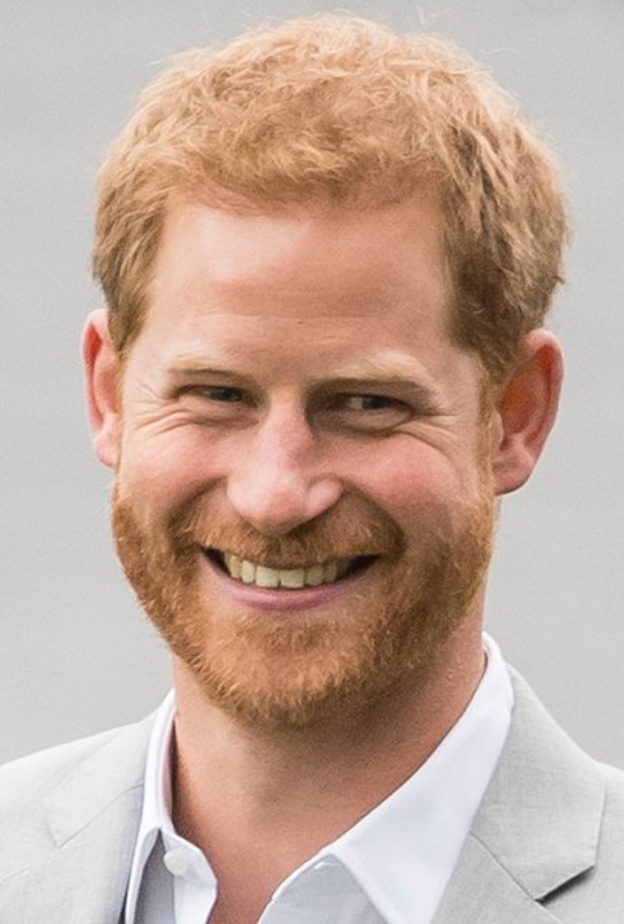 الأمير هاري يتلقى عرض عمل في الأرجنتين