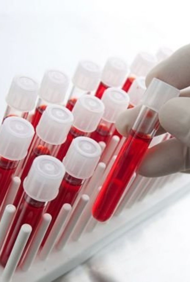 أمراض الدم الوراثية أمراض إلى الأبناء وتسبب الخلل الجيني