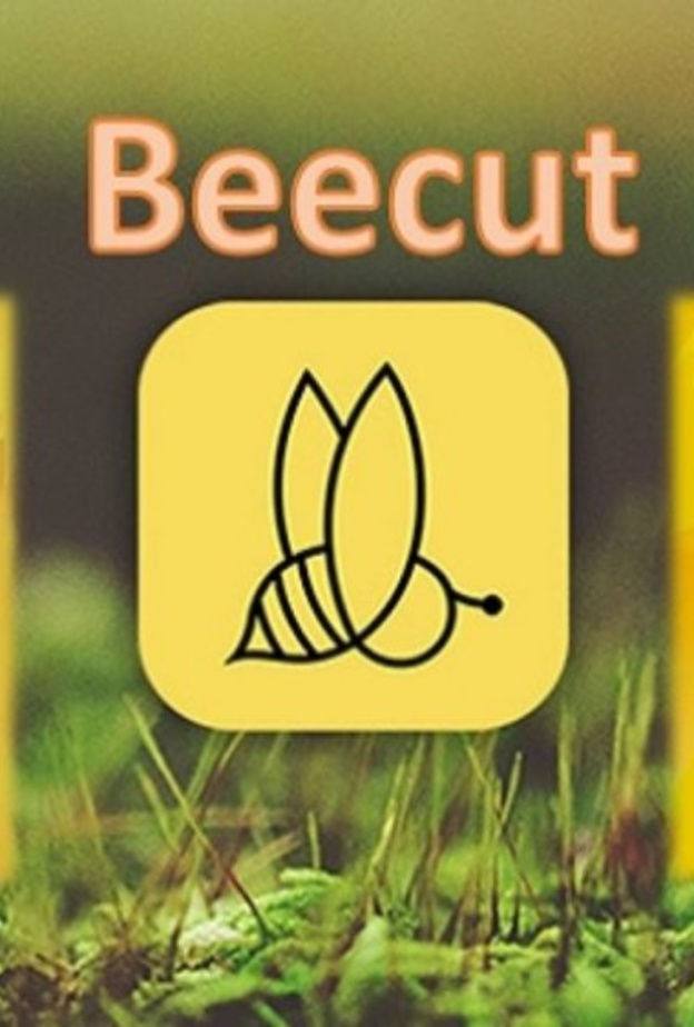 BeeCut...تطبيق جديد لتحرير الفيديوهات بطريقة مميزة