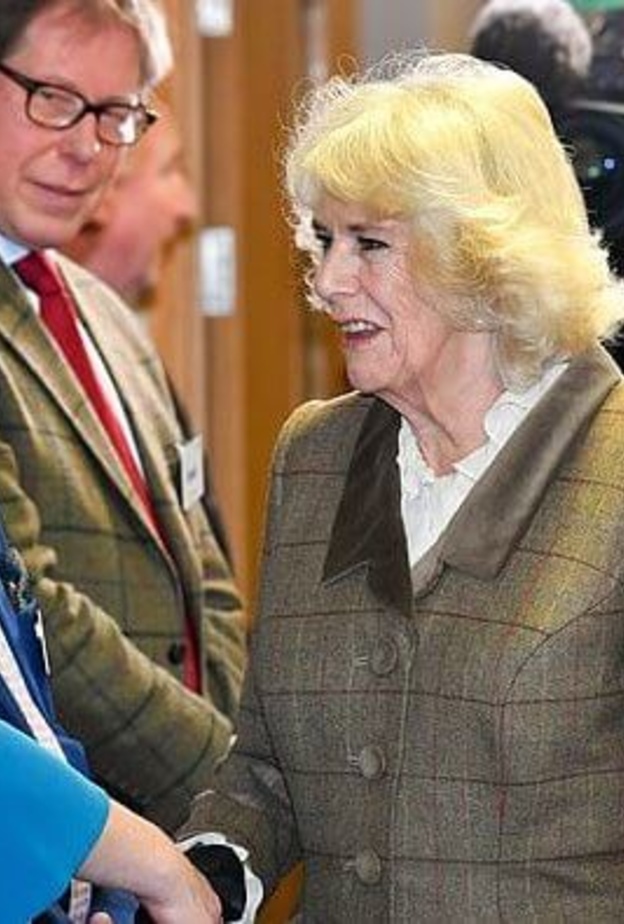 دوقة كورنوال