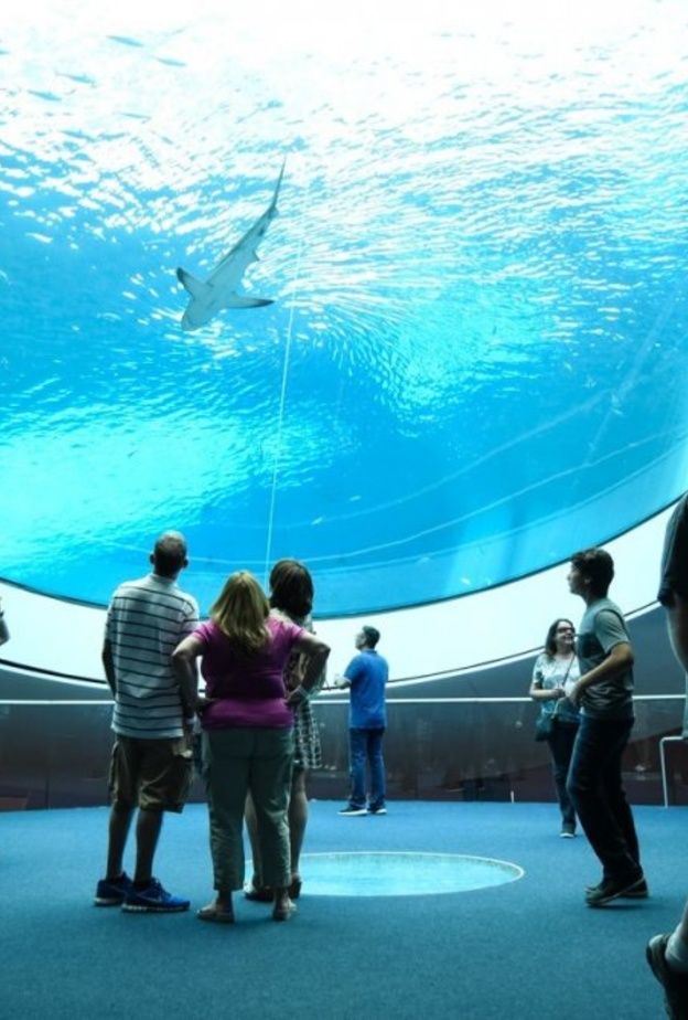 متحف باس للفنون (Bass Museum of Art) 