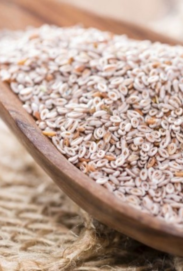 فوائد كثيرة لعشبة الاسبغول لانقاص الوزن