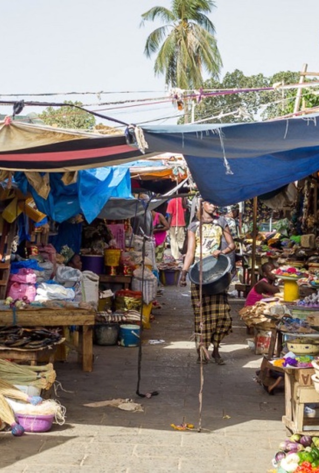 الحياة البرية في غامبيا