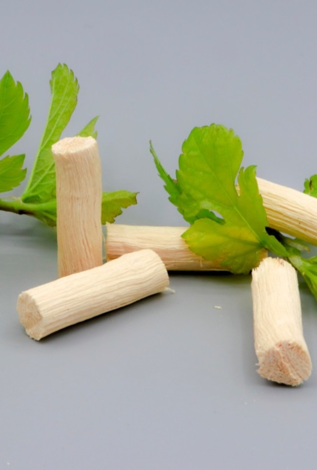 فوائد السواك لصحة الاسنان والفم